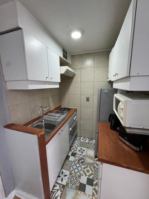 Departamento Santiago Centro Barrio Bellas Artes