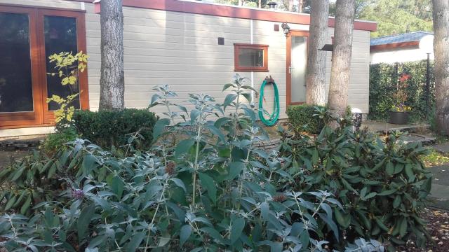 Jachtslot Chalet J8