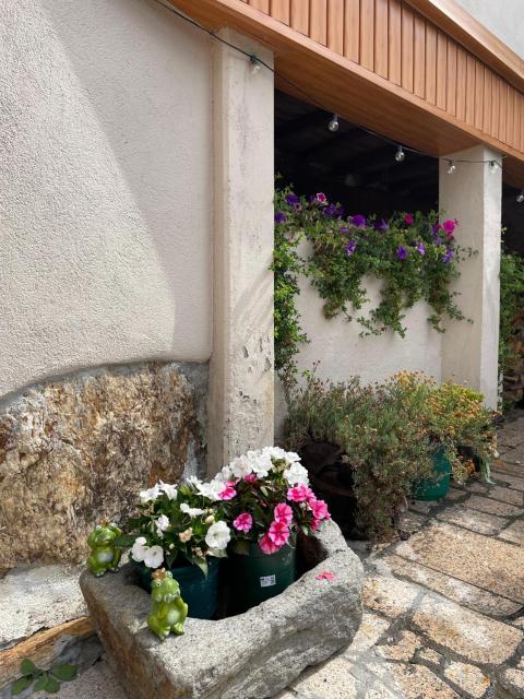 A Casa do Abuelo