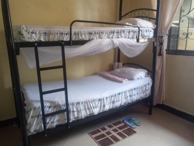 Jfour comfort zone hostel