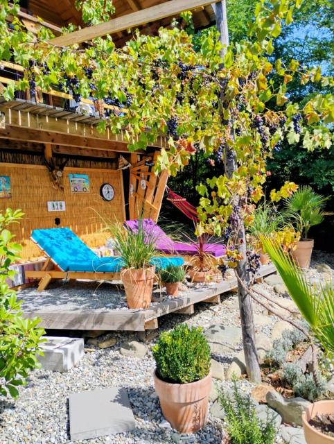 479 Tiny House, Domeniul von Agodt