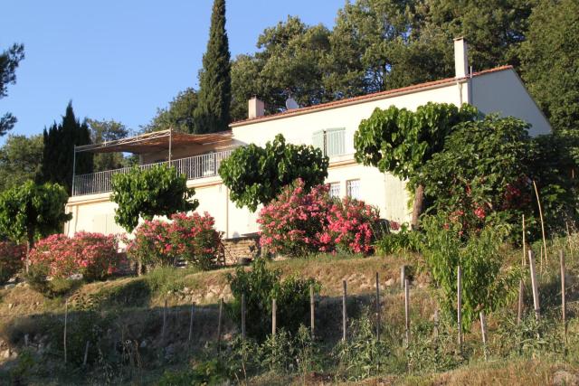 La Maison De La Cadière