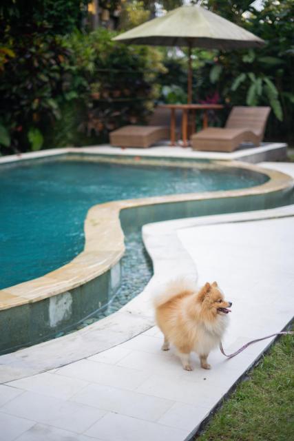 3BR Pool Villa in Ubud, Big Garden, Large Pool