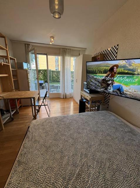 Studio next to Sihlcity!