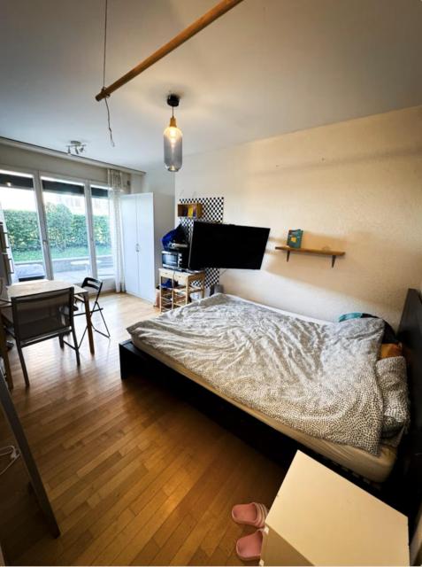 Studio next to Sihlcity!