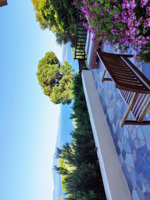 Villa villaeri