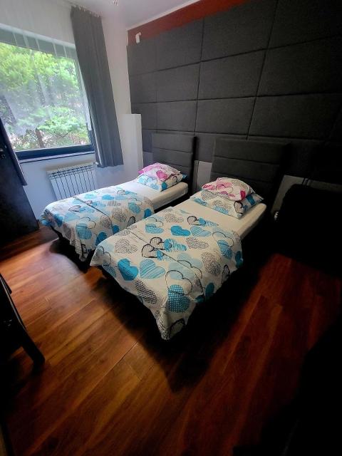 M Hostel