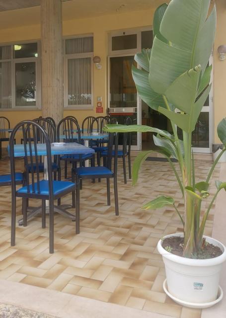 Hotel Holiday Garnì - Pet Friendly