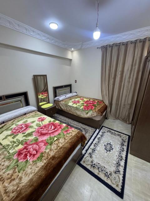شقه ايجار