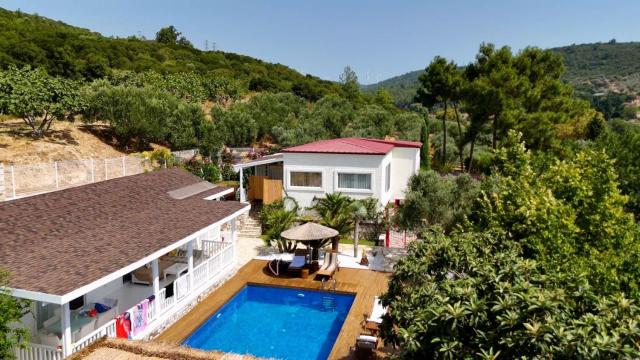 Casa del Olivia