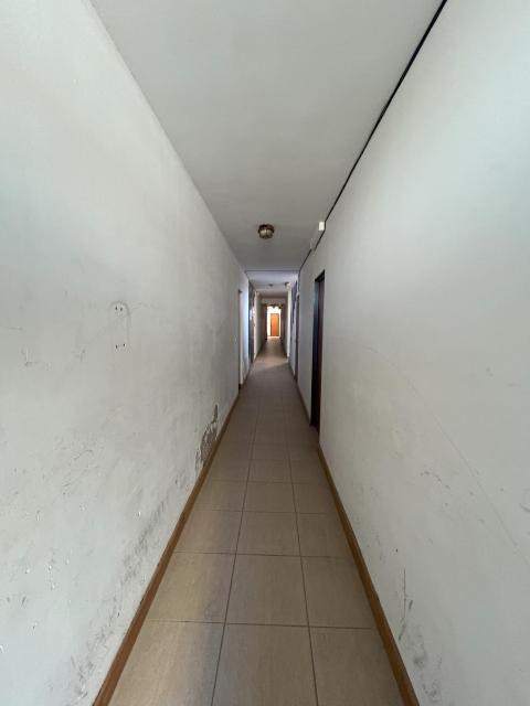 Apart Geranio, monoambiente en planta baja