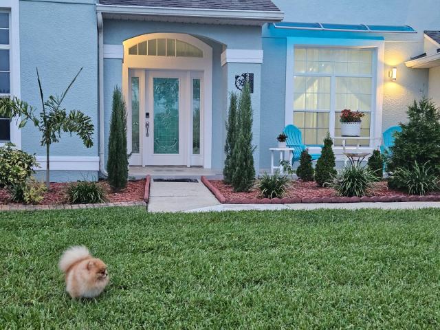Charming, beautiful house closer to Disney World