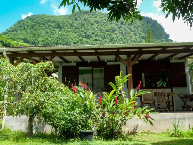 Ti Kaz Houelmont, Vue jardin tropical, proche plage de Rivière-Sens