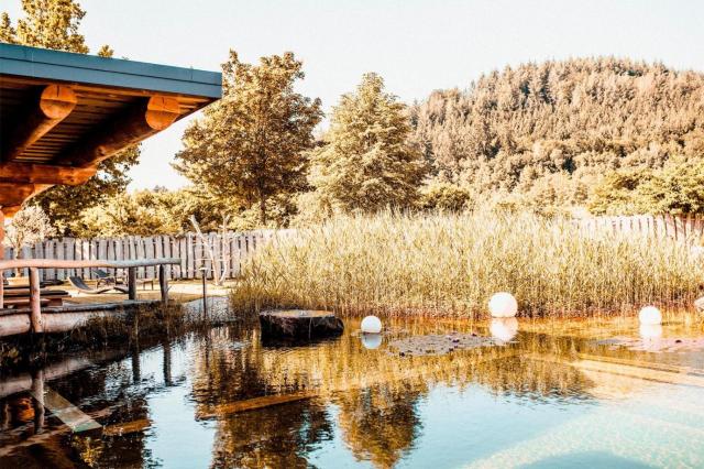 Spa Camping Schwarzwälder Hof
