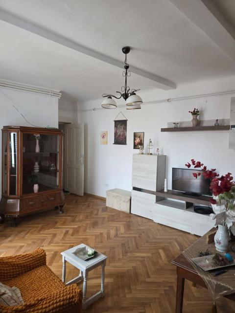 Apartament Rustic in Vila