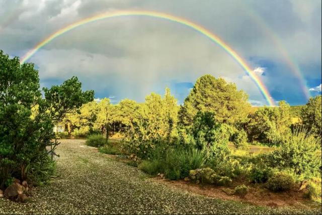 Rustic Tree House Rental with a Fire Pit in Bernalillo County, New Mexico