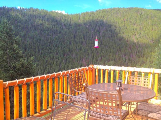Spacious Cabin Rental with a Hot Tub for a Weekend Getaway near Denver, Colorado