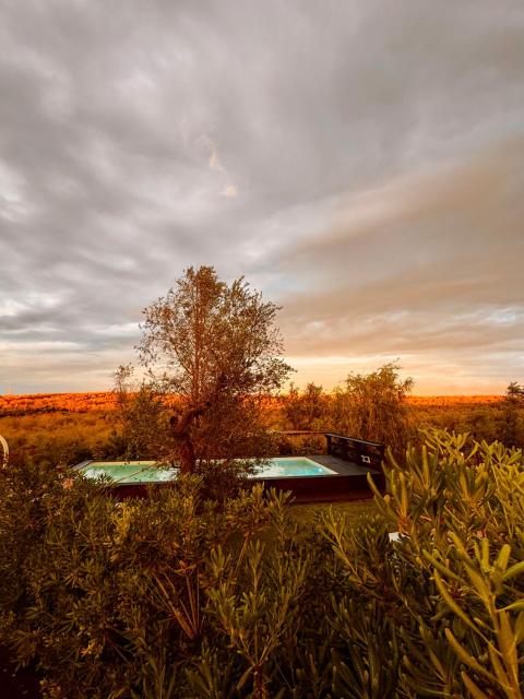 B&B Le Palombelle Casa Vacanze