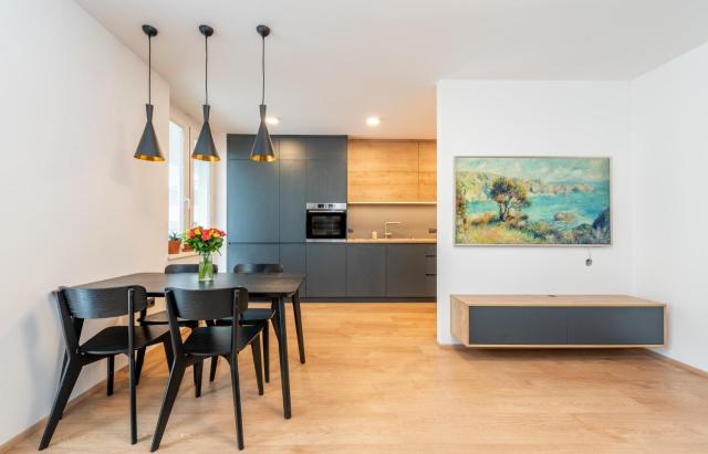 Luxury modern apartment near the metro - 10 minutes to the city center