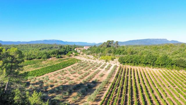 Domaine de Conillières