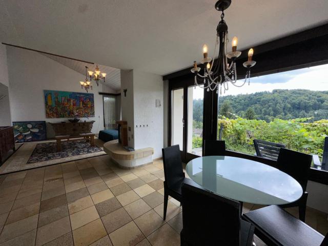 Beautiful apartment near Luzern, view to Rigi,Pilatus Mountain