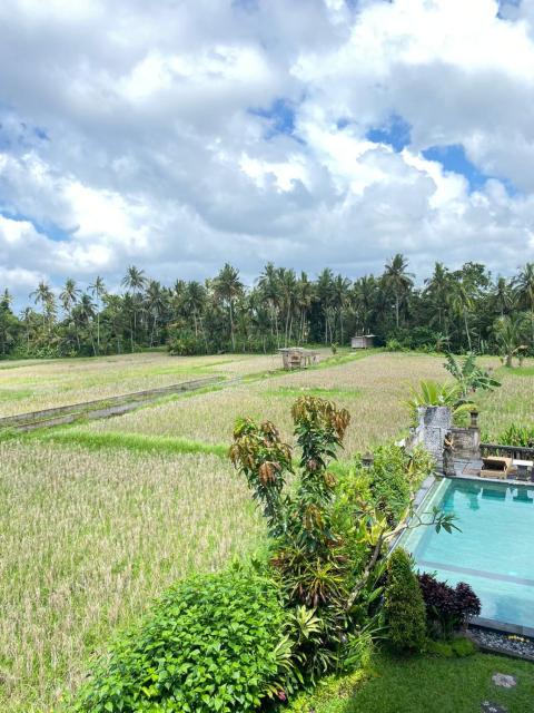 Beras Bali Guest House