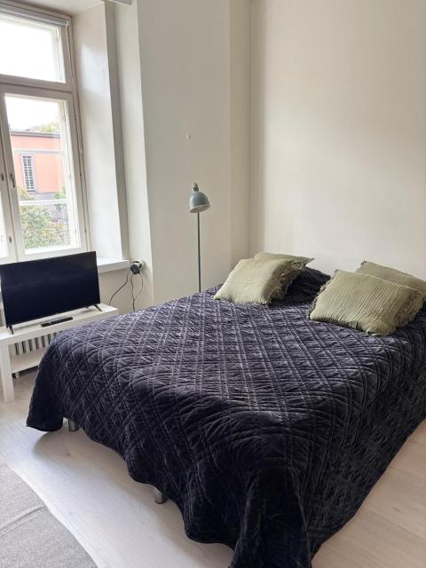 Renovated studio in the middle of culture