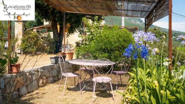 Holidays In Provence Alpes Maritimes