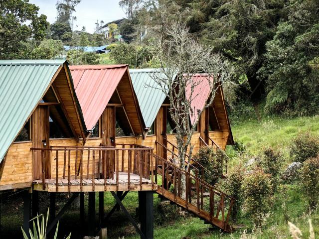 Cabañas del bosque - La casa en la piedra