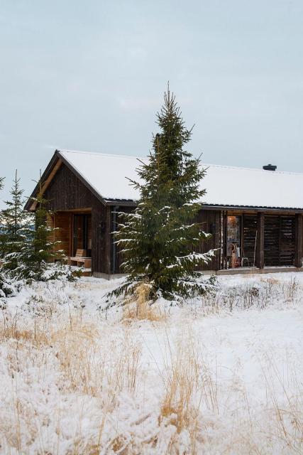 Unique Cabin With Great Natural Materials