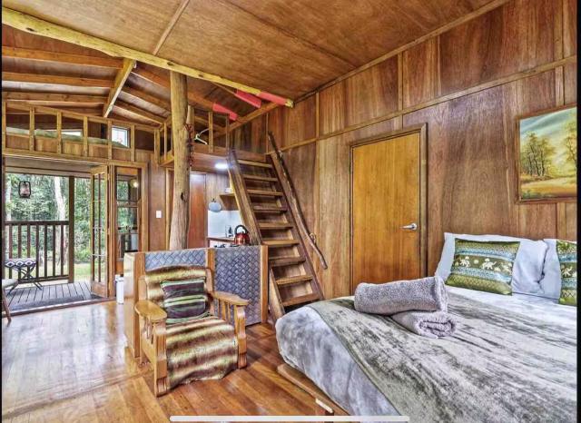 Sanctuary Cabin - Noosa Hinterland