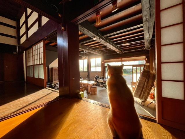 temple stay 玉林寺