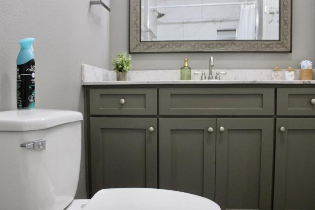 Little Rock - Downtown Delight, Central Escape