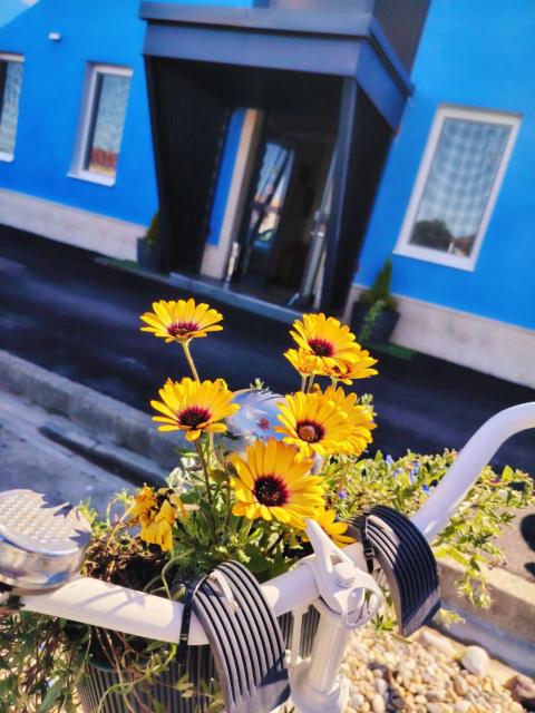 B & B Drava