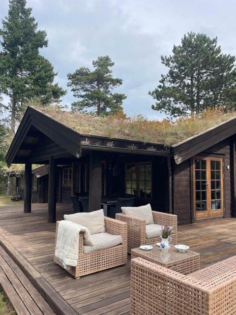 Norwegian Log Cabin Among Heather And Pine Trees