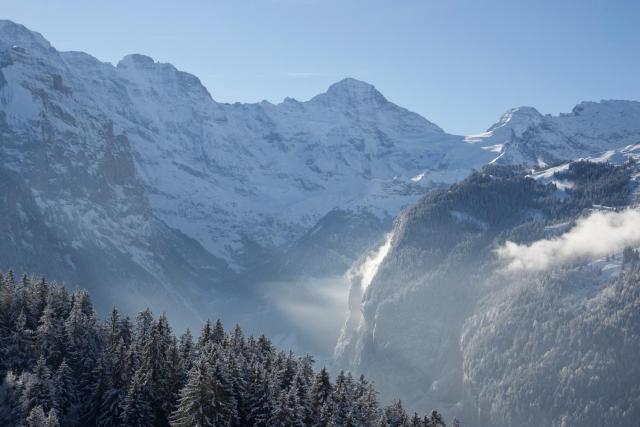 Cozy Chalet in Wengen with best views