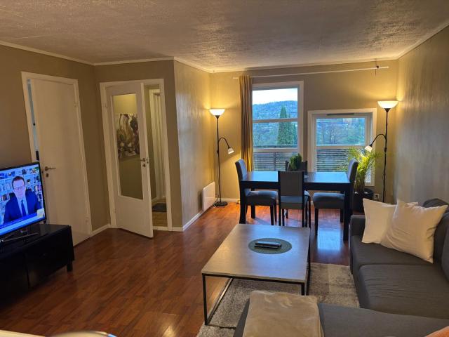 Apartment in Sandvika Bærum - Great view and Attractive