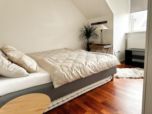 Deluxe Apartment on the Main Street with Free Parking & Late Checkout