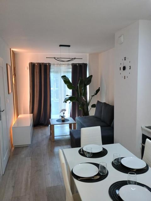 Grunwald Apartment
