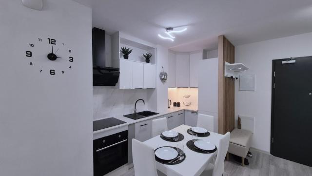 Grunwald Apartment