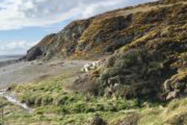 Caravan - Sleeps 4 - Pet friendly - Parking