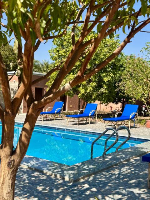 El Juneina Boutique Villas - Luxury Pool Villas in Luxor near Valley of the Kings