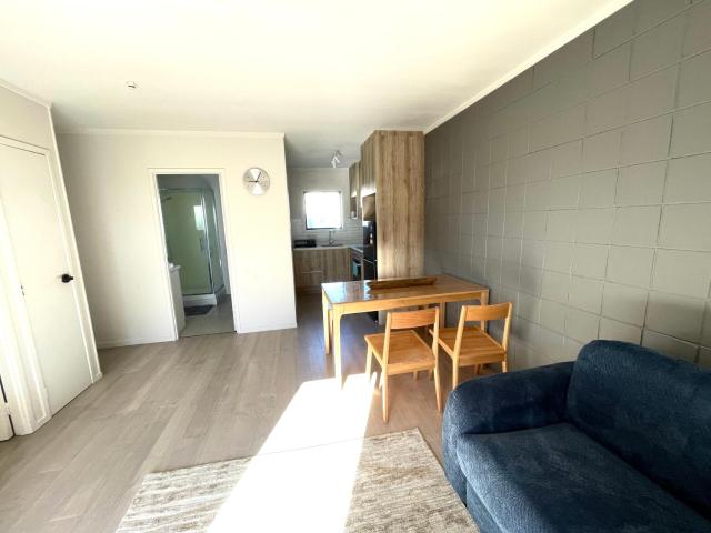 Sunny Tidy Corner in Ellerslie