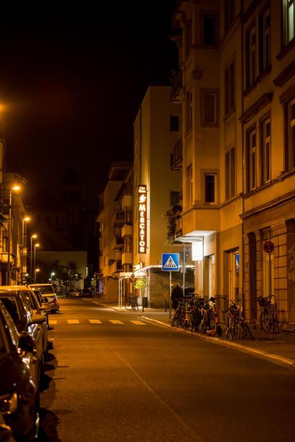 City Hotel Mercator