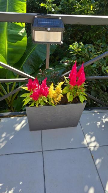 Happy Paradise Lodge