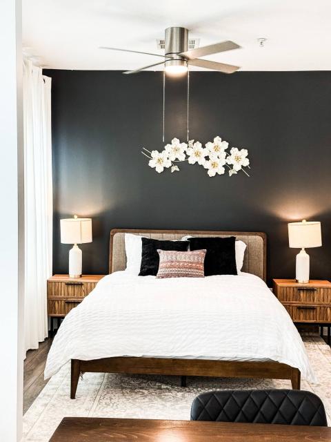 All You Need | Med Center Studio | Gated Parking!