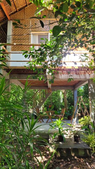 Lazy Lizard Hostel