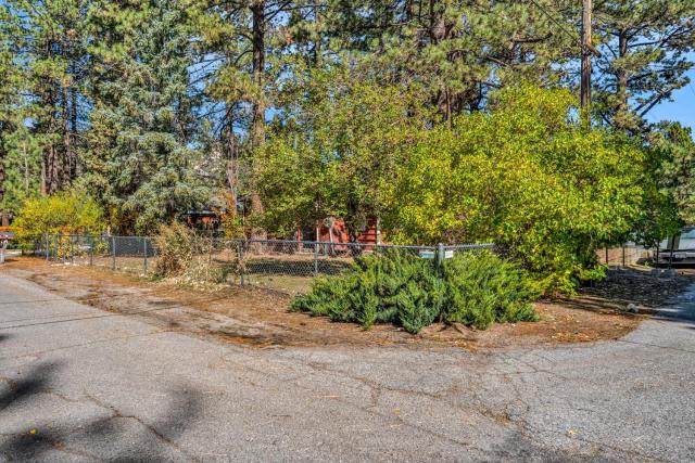 Green Cabin in Big Bear Lake 3 bdr Pets Friendly