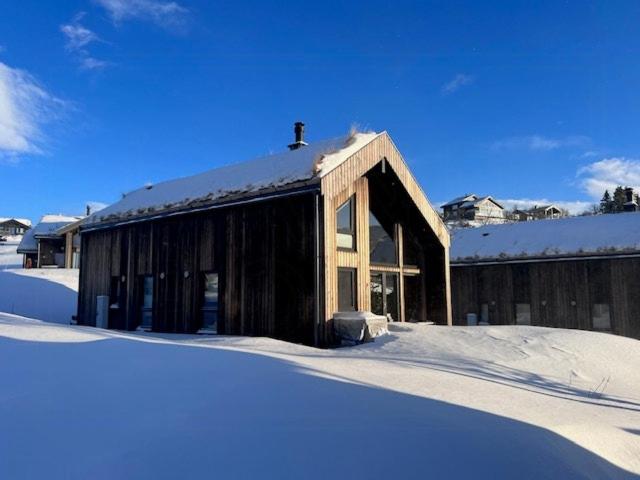 Modern Cabin With View In Rauland