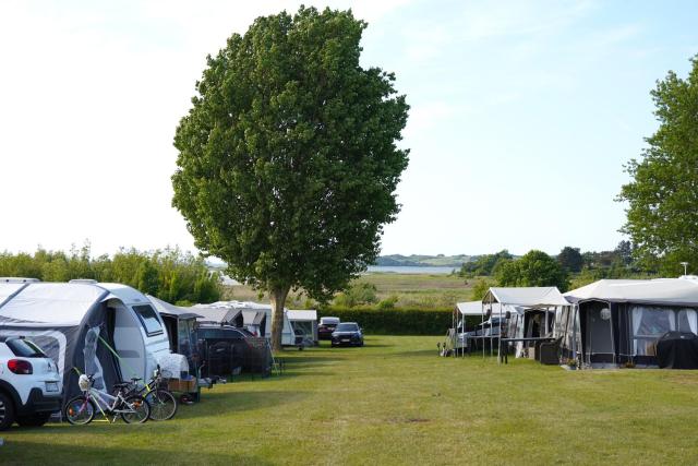 Vesterlyng Camping and Cottages